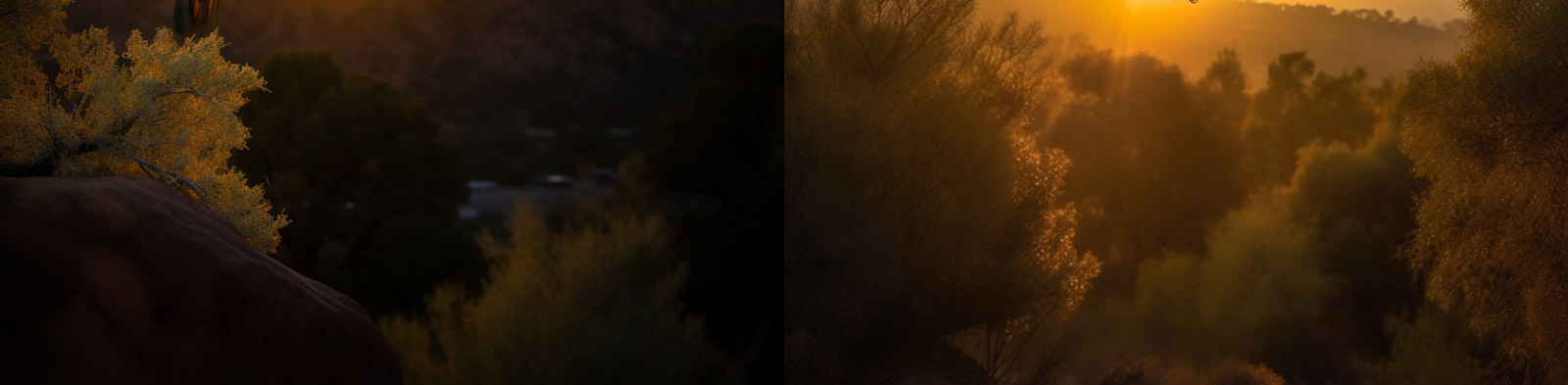 野生动物孔雀飞翔Midjourney关键词