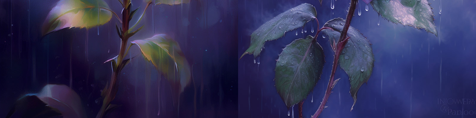 紫玫瑰鲜花绘画Midjourney关键词