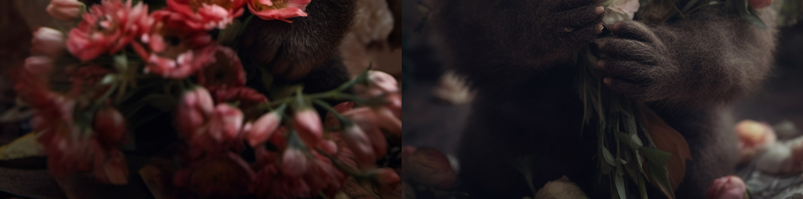 可爱熊猫鲜花摄影Midjourney咒语