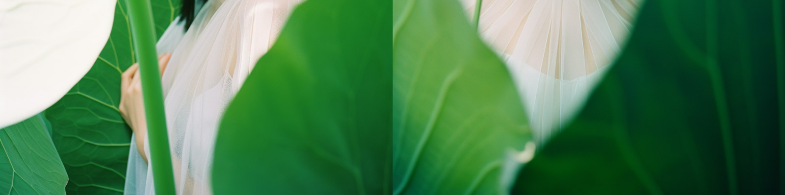 创意年轻女孩绿色荷叶摄影写真照片海报Midjourney关键词咒语分享