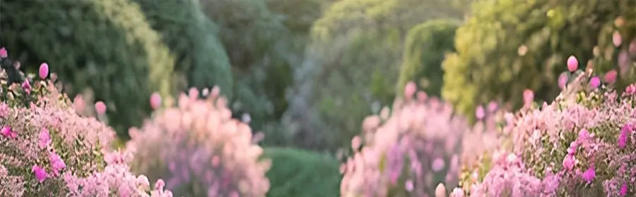 甜蜜七夕 给你宠爱