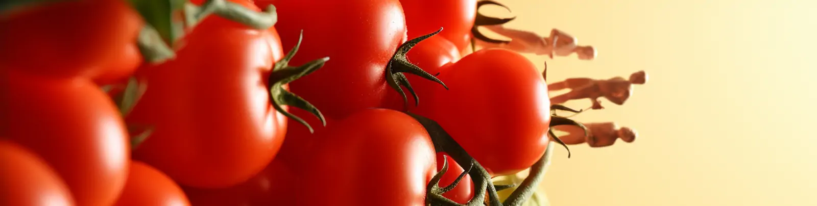 创意超现实主义迷你微观逼真番茄西红柿堆砌人物雕像模型摄影海报midjourney关键词咒语