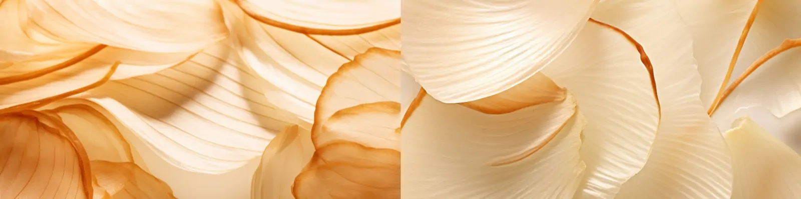 创意逼真超薄洋葱片纹理电商生鲜蔬菜产品摄影广告海报背景midjourney关键词咒语分享