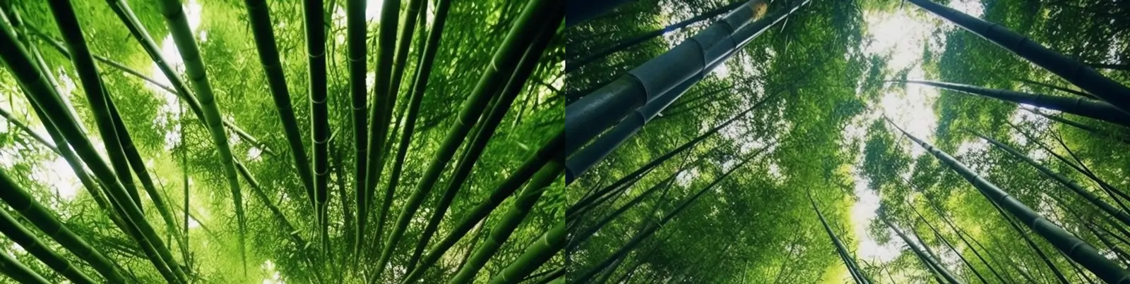 创意绿色竹林竹子自然景观垂直视角拍摄艺术摄影海报背景midjourney关键词咒语分享