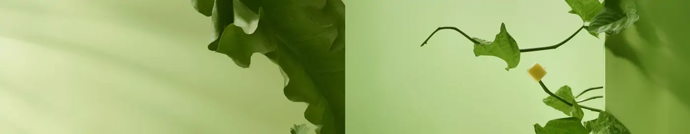 保健品食品类海报高清合成展台背景Midjourney绘图关键词咒语