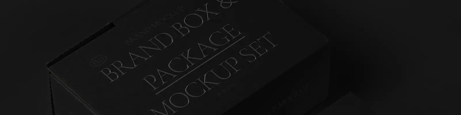 黑色瓦楞纸箱天地盖鞋盒包装纸盒VI展示贴图样机psd设计素材模版Mockup