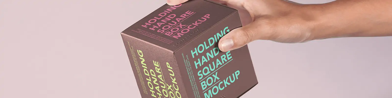 手持食品商品保健品纸箱包装纸盒VI展示贴图样机psd设计素材模版Mockup