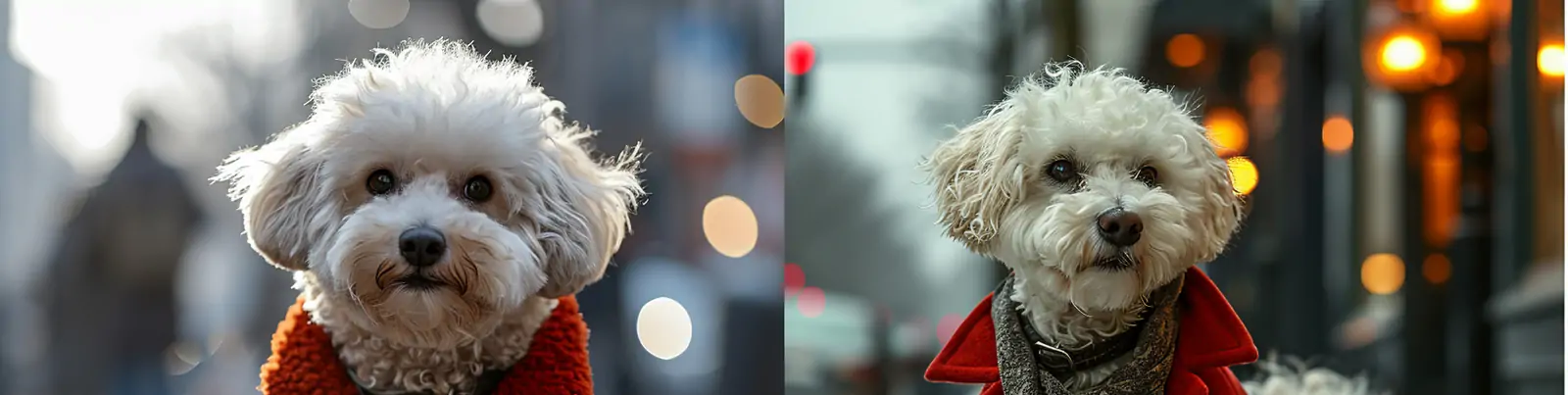 创意拟人化可爱狗狗红色外套优雅服装造型摄影海报midjourney关键词咒语