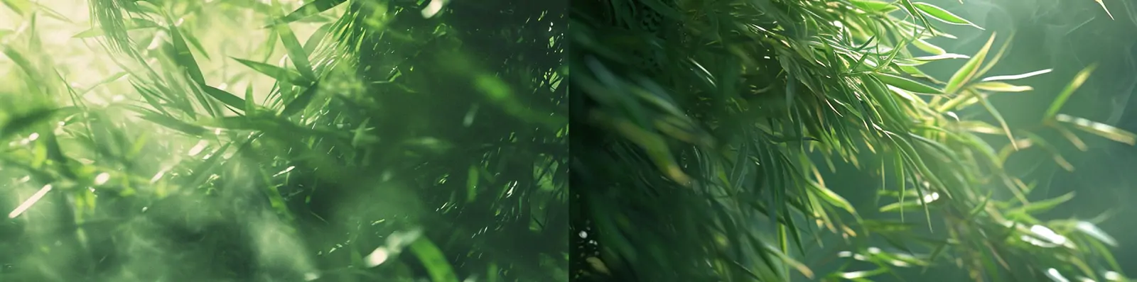 创意绿色竹林狂风卷起竹叶模糊龙形状自然艺术摄影海报midjourney关键词咒语